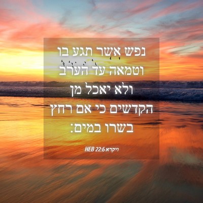 Picture 04 - ויקרא 22:6 HEB - נפש אשר תגע בו וטמאה עד - Bible Verse Picture