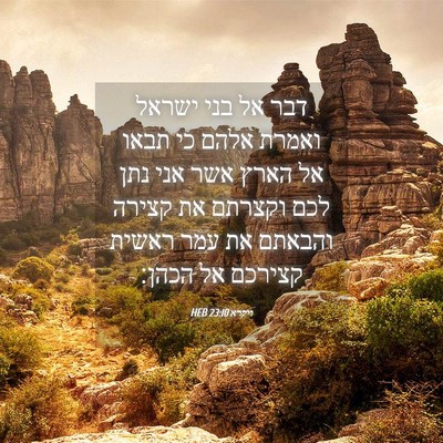 Picture 04 - ויקרא 23:10 HEB - דבר אל בני ישראל ואמרת אלהם - Bible Verse Picture