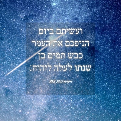 Picture 04 - ויקרא 23:12 HEB - ועשיתם ביום הניפכם את העמר - Bible Verse Picture