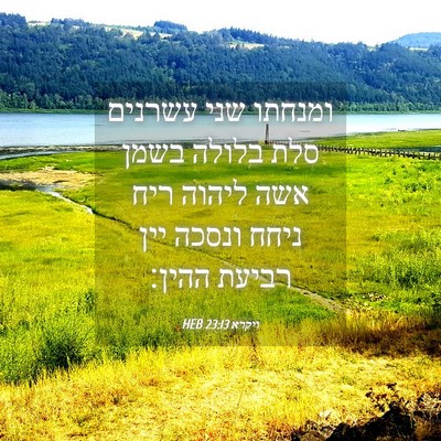 Picture 04 - ויקרא 23:13 HEB - ומנחתו שני עשרנים סלת - Bible Verse Picture