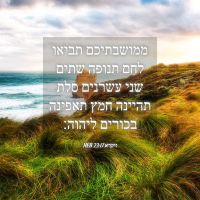 Picture 04 - ויקרא 23:17 HEB - ממושבתיכם תביאו לחם תנופה - Bible Verse Picture