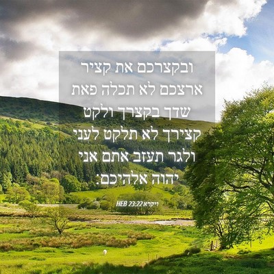 Picture 04 - ויקרא 23:22 HEB - ובקצרכם את קציר ארצכם לא - Bible Verse Picture