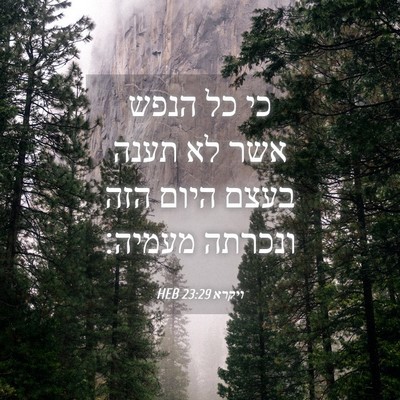 Picture 04 - ויקרא 23:29 HEB - כי כל הנפש אשר לא תענה בעצם - Bible Verse Picture