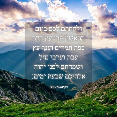 Picture 04 - ויקרא 23:40 HEB - ולקחתם לכם ביום הראשון פרי - Bible Verse Picture