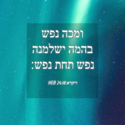 Picture 04 - ויקרא 24:18 HEB - ומכה נפש בהמה ישלמנה נפש - Bible Verse Picture