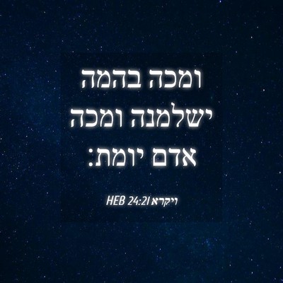 Picture 04 - ויקרא 24:21 HEB - ומכה בהמה ישלמנה ומכה אדם - Bible Verse Picture