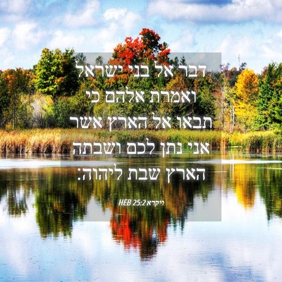 Picture 04 - ויקרא 25:2 HEB - דבר אל בני ישראל ואמרת אלהם - Bible Verse Picture