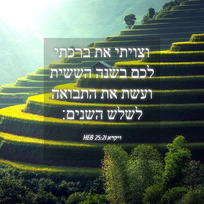Picture 04 - ויקרא 25:21 HEB - וצויתי את ברכתי לכם בשנה - Bible Verse Picture