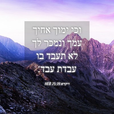 Picture 04 - ויקרא 25:39 HEB - וכי ימוך אחיך עמך ונמכר לך - Bible Verse Picture