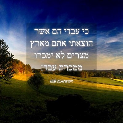Picture 04 - ויקרא 25:42 HEB - כי עבדי הם אשר הוצאתי אתם - Bible Verse Picture