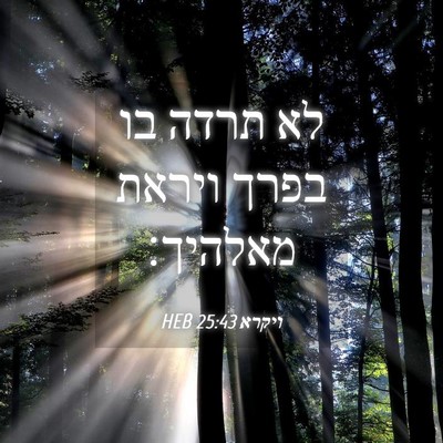 Picture 04 - ויקרא 25:43 HEB - לא תרדה בו בפרך ויראת - Bible Verse Picture