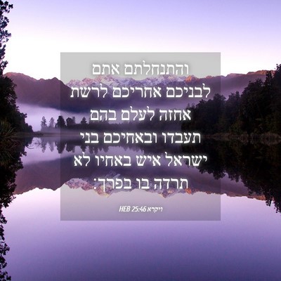 Picture 04 - ויקרא 25:46 HEB - והתנחלתם אתם לבניכם אחריכם - Bible Verse Picture