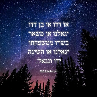 Picture 04 - ויקרא 25:49 HEB - או דדו או בן דדו יגאלנו או - Bible Verse Picture