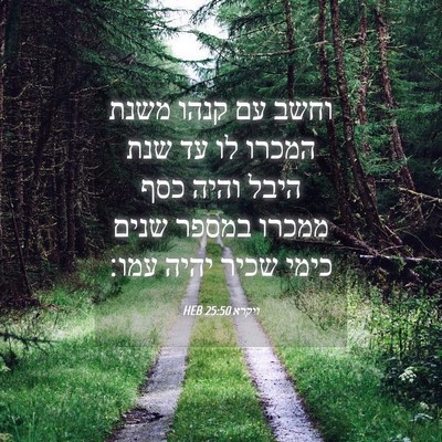 Picture 04 - ויקרא 25:50 HEB - וחשב עם קנהו משנת המכרו לו - Bible Verse Picture