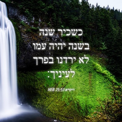 Picture 04 - ויקרא 25:53 HEB - כשכיר שנה בשנה יהיה עמו לא - Bible Verse Picture