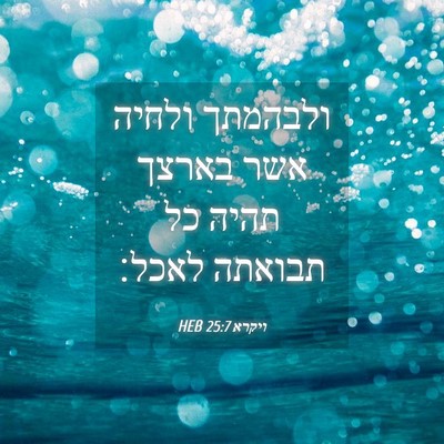 Picture 04 - ויקרא 25:7 HEB - ולבהמתך ולחיה אשר בארצך - Bible Verse Picture