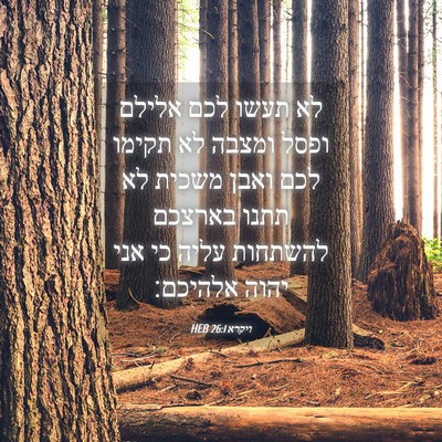 Picture 04 - ויקרא 26:1 HEB - לא תעשו לכם אלילם ופסל - Bible Verse Picture
