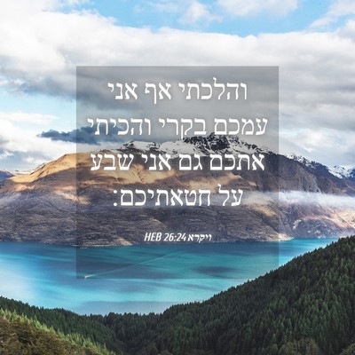Picture 04 - ויקרא 26:24 HEB - והלכתי אף אני עמכם בקרי - Bible Verse Picture