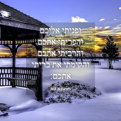 Picture 04 - ויקרא 26:9 HEB - ופניתי אליכם והפריתי אתכם - Bible Verse Picture