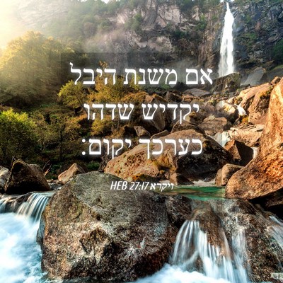 Picture 04 - ויקרא 27:17 HEB - אם משנת היבל יקדיש שדהו - Bible Verse Picture