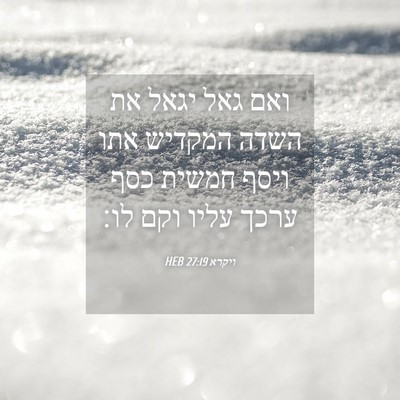 Picture 04 - ויקרא 27:19 HEB - ואם גאל יגאל את השדה המקדיש - Bible Verse Picture