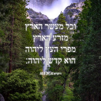 Picture 04 - ויקרא 27:30 HEB - וכל מעשר הארץ מזרע הארץ - Bible Verse Picture