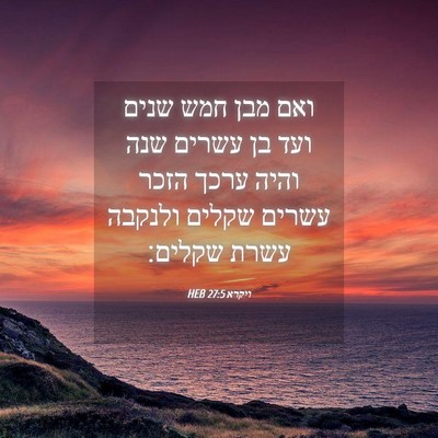 Picture 04 - ויקרא 27:5 HEB - ואם מבן חמש שנים ועד בן - Bible Verse Picture