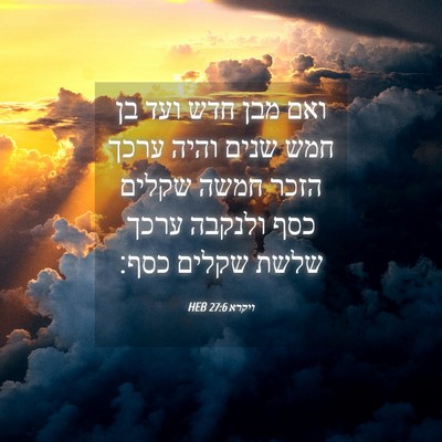 Picture 04 - ויקרא 27:6 HEB - ואם מבן חדש ועד בן חמש שנים - Bible Verse Picture