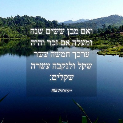 Picture 04 - ויקרא 27:7 HEB - ואם מבן ששים שנה ומעלה אם - Bible Verse Picture