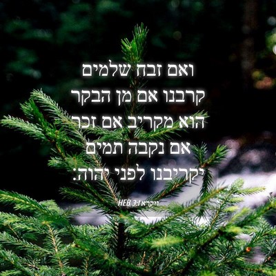 Picture 04 - ויקרא 3:1 HEB - ואם זבח שלמים קרבנו אם מן - Bible Verse Picture