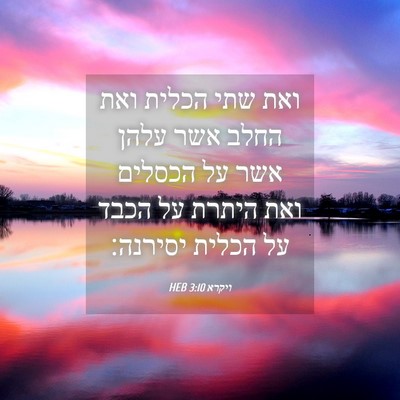 Picture 04 - ויקרא 3:10 HEB - ואת שתי הכלית ואת החלב אשר - Bible Verse Picture