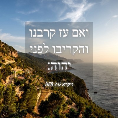 Picture 04 - ויקרא 3:12 HEB - ואם עז קרבנו והקריבו לפני - Bible Verse Picture