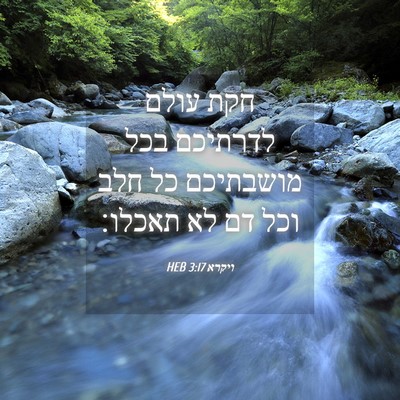 Picture 04 - ויקרא 3:17 HEB - חקת עולם לדרתיכם בכל - Bible Verse Picture