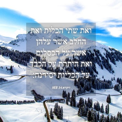 Picture 04 - ויקרא 3:4 HEB - ואת שתי הכלית ואת החלב אשר - Bible Verse Picture