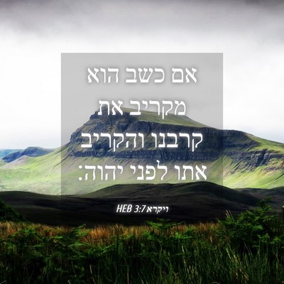 Picture 04 - ויקרא 3:7 HEB - אם כשב הוא מקריב את קרבנו - Bible Verse Picture
