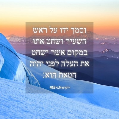 Picture 04 - ויקרא 4:24 HEB - וסמך ידו על ראש השעיר ושחט - Bible Verse Picture