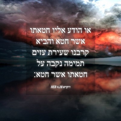 Picture 04 - ויקרא 4:28 HEB - או הודע אליו חטאתו אשר חטא - Bible Verse Picture