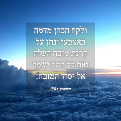 Picture 04 - ויקרא 4:30 HEB - ולקח הכהן מדמה באצבעו ונתן - Bible Verse Picture