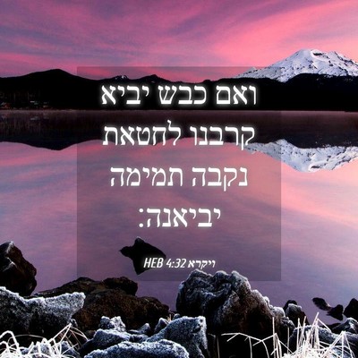 Picture 04 - ויקרא 4:32 HEB - ואם כבש יביא קרבנו לחטאת - Bible Verse Picture