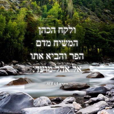 Picture 04 - ויקרא 4:5 HEB - ולקח הכהן המשיח מדם הפר - Bible Verse Picture