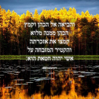 Picture 04 - ויקרא 5:12 HEB - והביאה אל הכהן וקמץ הכהן - Bible Verse Picture