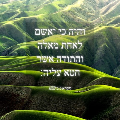 Picture 04 - ויקרא 5:5 HEB - והיה כי יאשם לאחת מאלה - Bible Verse Picture