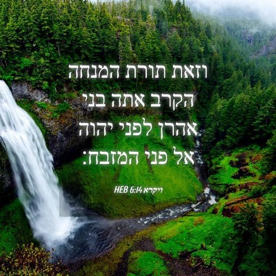 Picture 04 - ויקרא 6:14 HEB - וזאת תורת המנחה הקרב אתה - Bible Verse Picture