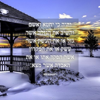 Picture 04 - ויקרא 6:4 HEB - והיה כי יחטא ואשם והשיב את - Bible Verse Picture