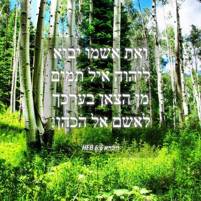 Picture 04 - ויקרא 6:6 HEB - ואת אשמו יביא ליהוה איל - Bible Verse Picture