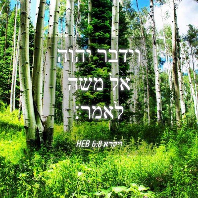 Picture 04 - ויקרא 6:8 HEB - וידבר יהוה אל משה - Bible Verse Picture