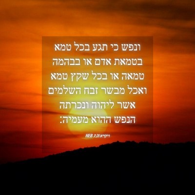 Picture 04 - ויקרא 7:21 HEB - ונפש כי תגע בכל טמא בטמאת - Bible Verse Picture