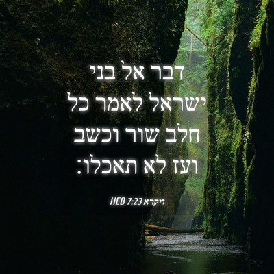 Picture 04 - ויקרא 7:23 HEB - דבר אל בני ישראל לאמר כל - Bible Verse Picture