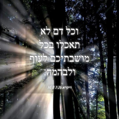 Picture 04 - ויקרא 7:26 HEB - וכל דם לא תאכלו בכל - Bible Verse Picture