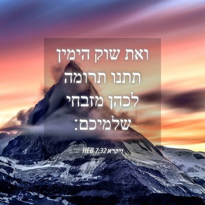 Picture 04 - ויקרא 7:32 HEB - ואת שוק הימין תתנו תרומה - Bible Verse Picture